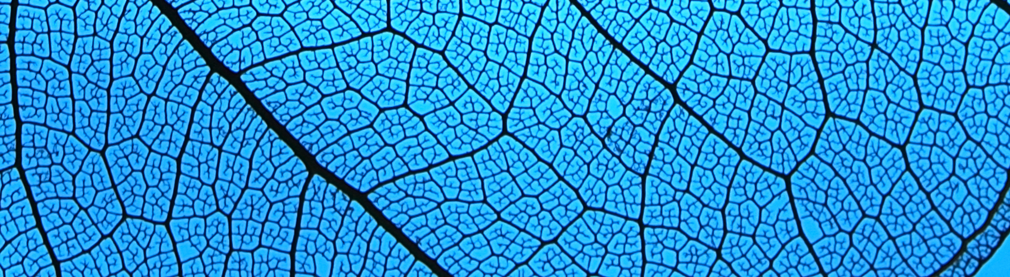 Perpetual Exact Market Return Fund