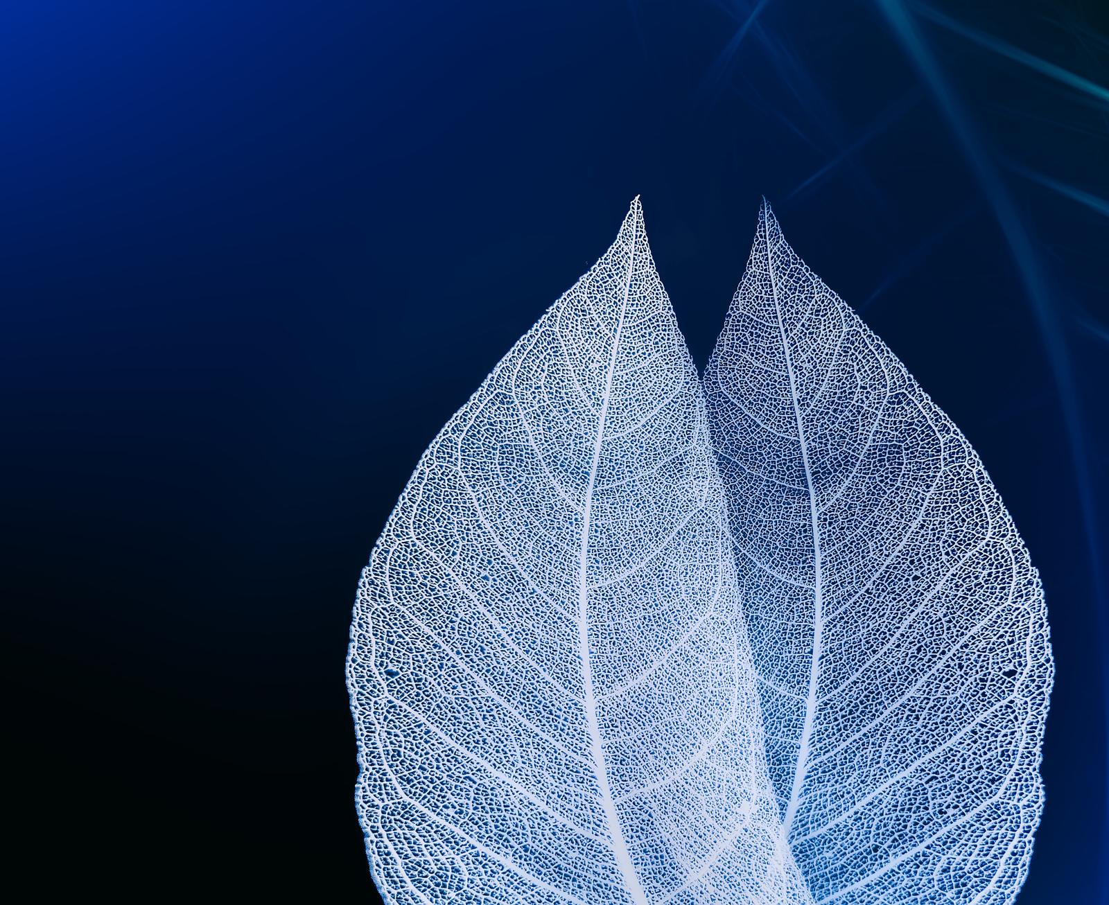 Responsible investing