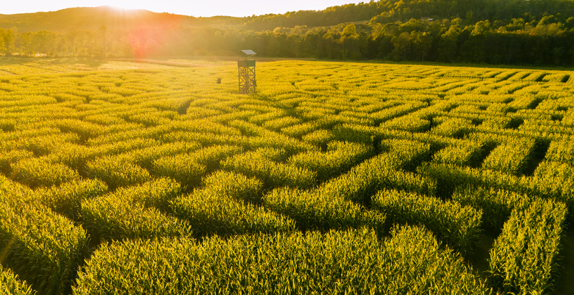 CGT-Article-2026.jpg