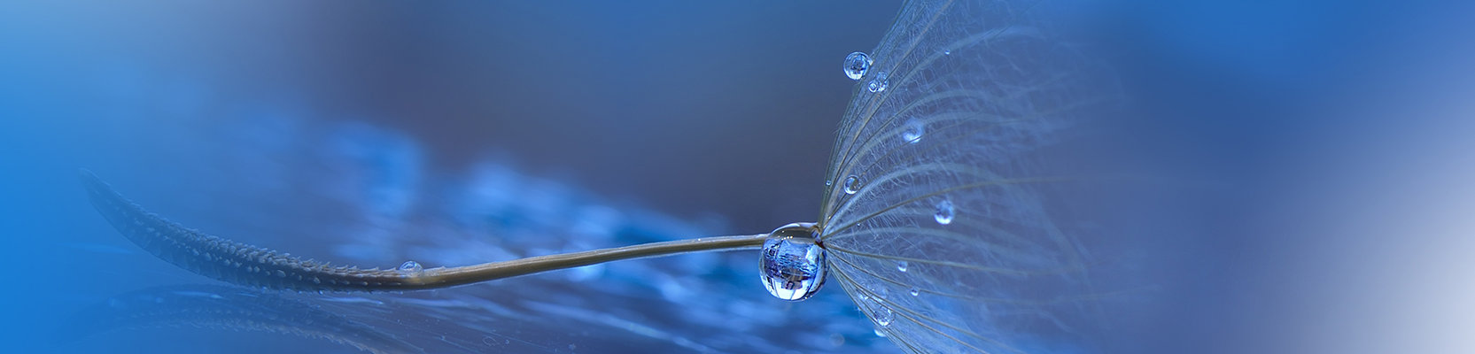 Perpetual Geared Australian Share Fund