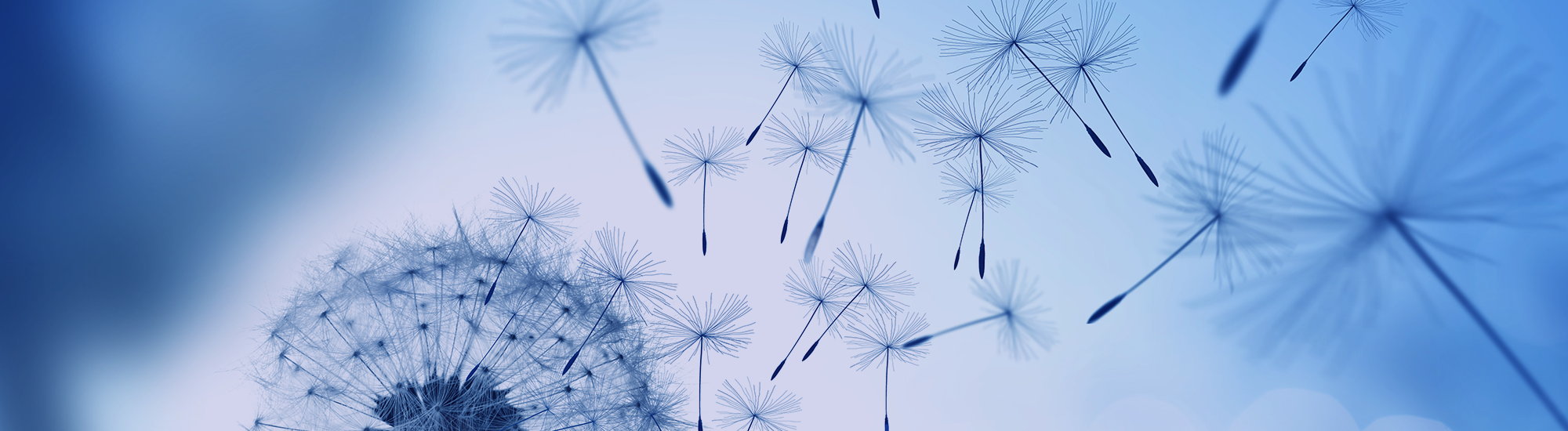 Perpetual Australian Share Fund